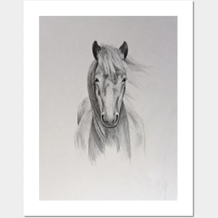 Horse Posters and Art